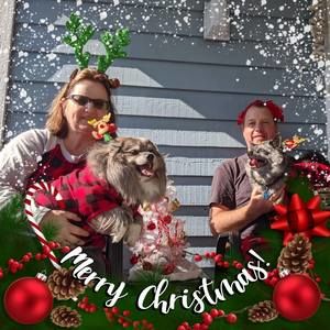 Meet your Posher, Robin